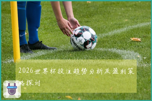 2026世界杯投注趋势分析及盈利策略探讨