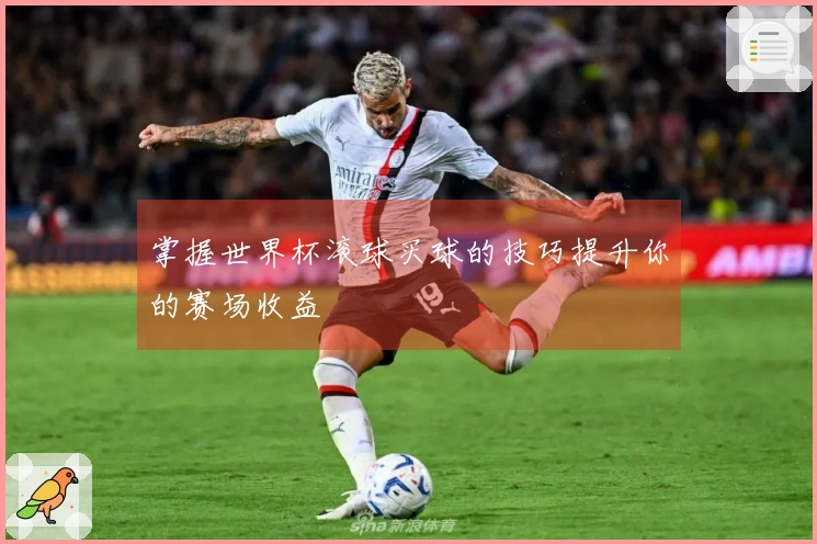 掌握世界杯滚球买球的技巧提升你的赛场收益