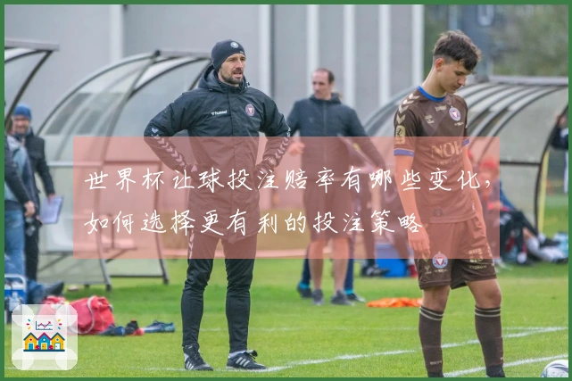 世界杯让球投注赔率有哪些变化，如何选择更有利的投注策略