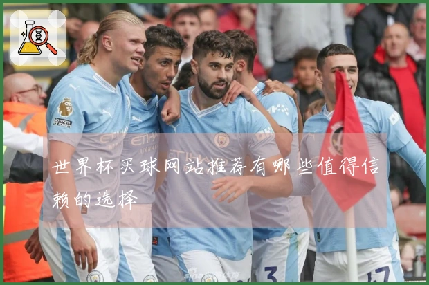 世界杯买球网站推荐有哪些值得信赖的选择