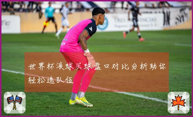 世界杯滚球买球盘口对比分析助你轻松选队伍