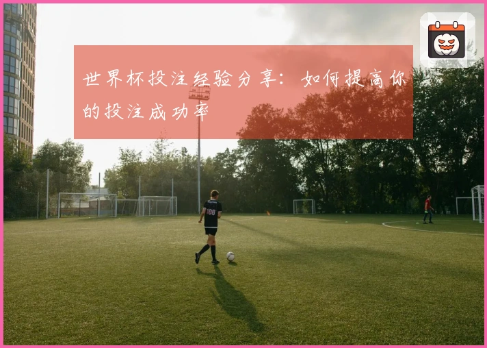世界杯投注经验分享:如何提高你的投注成功率
