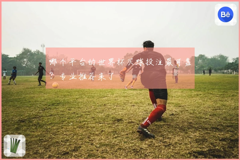 哪个平台的世界杯买球投注最可靠？专业推荐来了