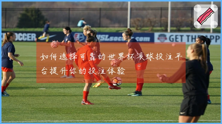 如何选择可靠的世界杯滚球投注平台提升你的投注体验