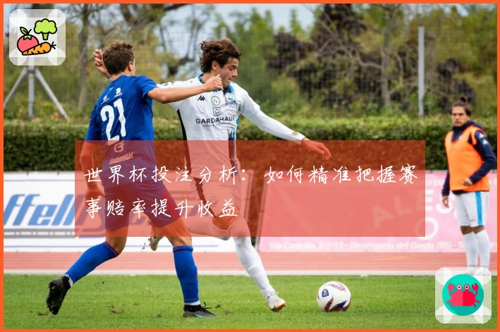 世界杯投注分析：如何精准把握赛事赔率提升收益