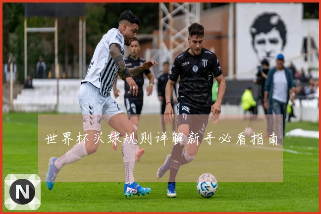 世界杯买球规则详解新手必看指南