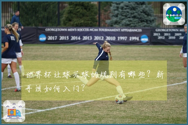世界杯让球买球的规则有哪些？新手该如何入门？