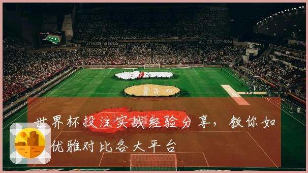 世界杯投注实战经验分享，教你如何优雅对比各大平台
