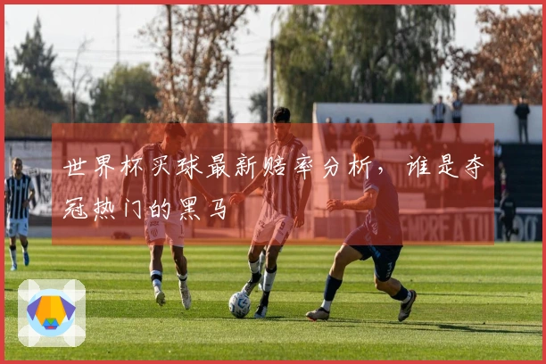 世界杯买球最新赔率分析，谁是夺冠热门的黑马