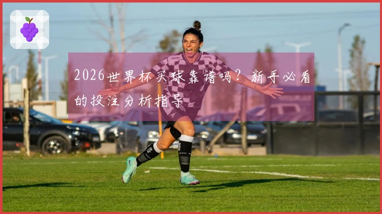 2026世界杯买球靠谱吗？新手必看的投注分析指导