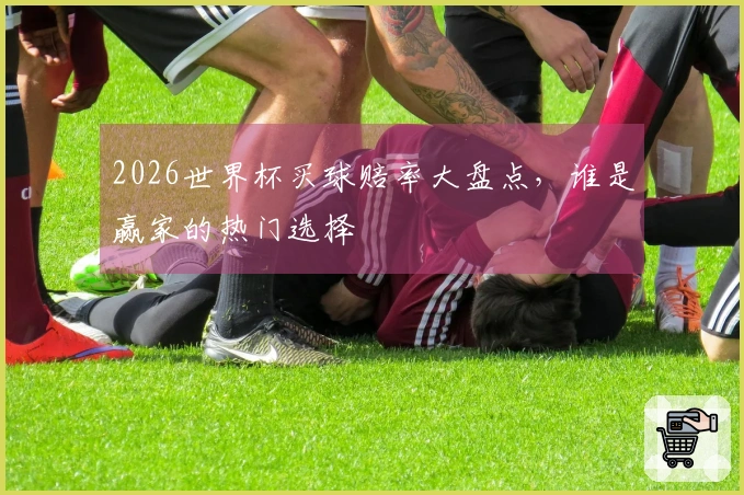 2026世界杯买球赔率大盘点，谁是赢家的热门选择