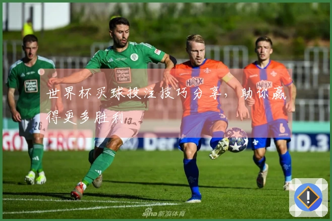世界杯买球投注技巧分享，助你赢得更多胜利