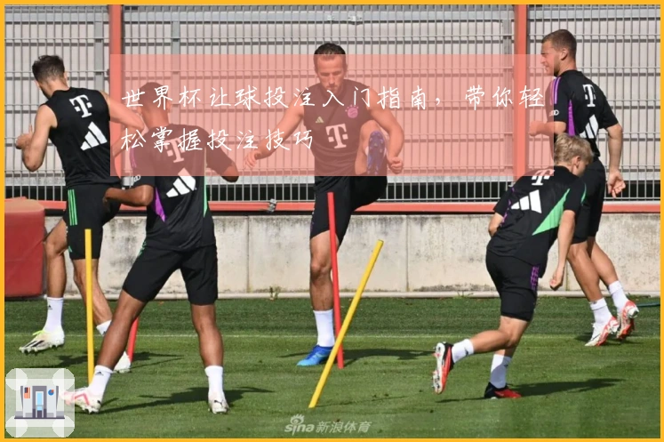 世界杯让球投注入门指南，带你轻松掌握投注技巧