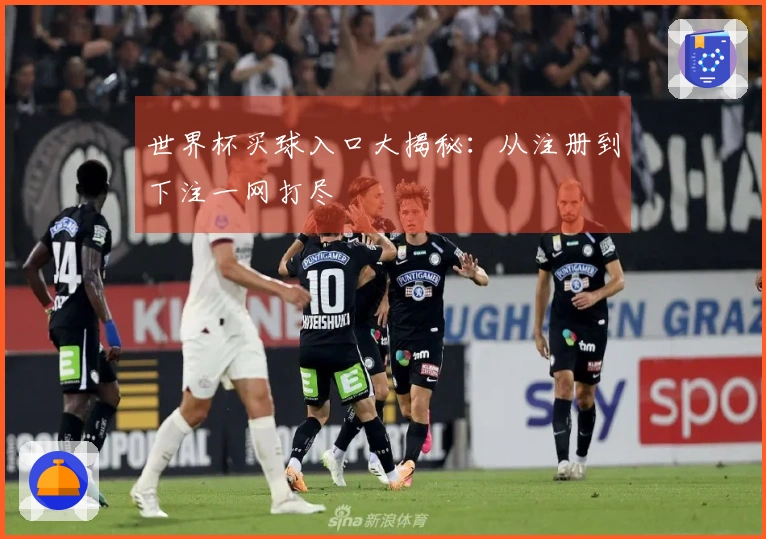 世界杯买球入口大揭秘：从注册到下注一网打尽
