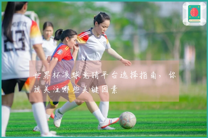 世界杯滚球竞猜平台选择指南，你该关注哪些关键因素