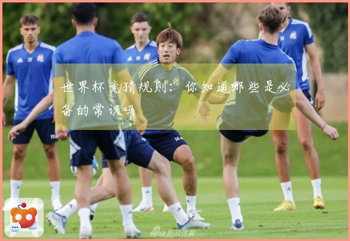 世界杯竞猜规则：你知道哪些是必备的常识吗