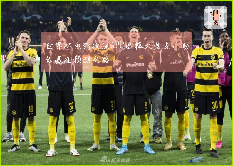 世界杯竞猜投注APP选择大盘点，助你赢在预测之路