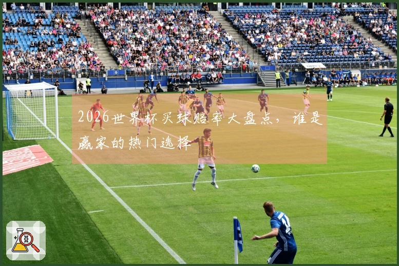 2026世界杯买球赔率大盘点，谁是赢家的热门选择
