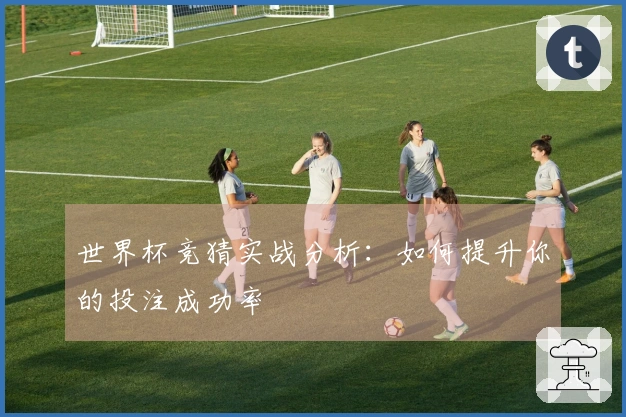 世界杯竞猜实战分析：如何提升你的投注成功率