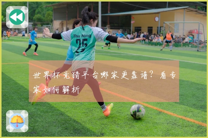 世界杯竞猜平台哪家更靠谱？看专家如何解析