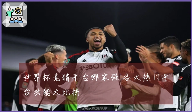 世界杯竞猜平台哪家强 各大热门平台功能大比拼