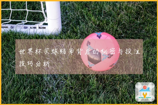 世界杯买球赔率背后的秘密与投注技巧分析
